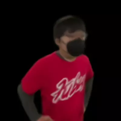 Image for Progressive Multi-Scale Light Field Networks